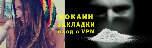 шишки Михайловка
