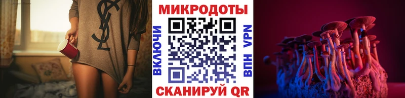 Псилоцибиновые грибы GOLDEN TEACHER  сайты даркнета формула  Астрахань  купить  сайты 