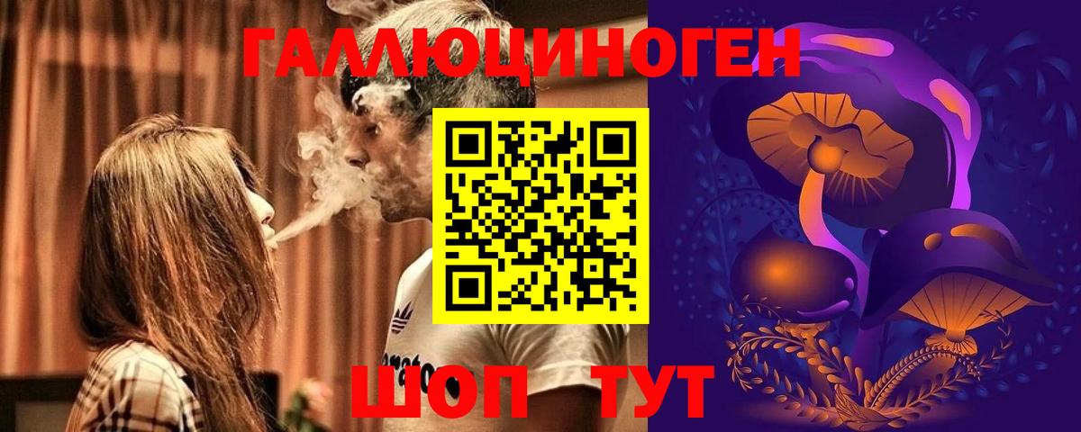 Псилоцибиновые грибы прущие грибы Астрахань