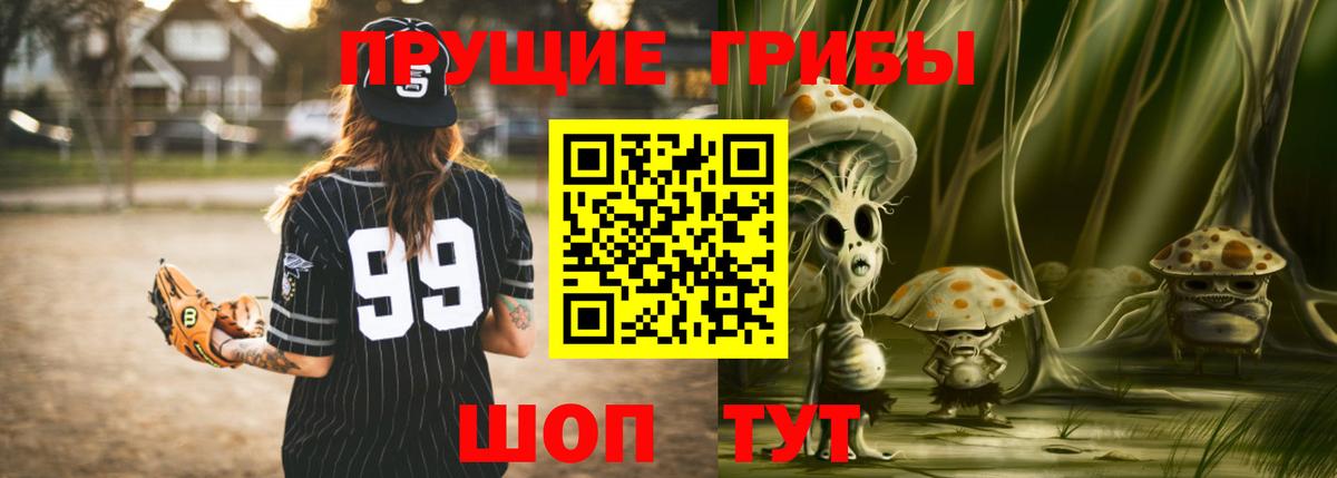 Псилоцибиновые грибы прущие грибы  Астрахань 
